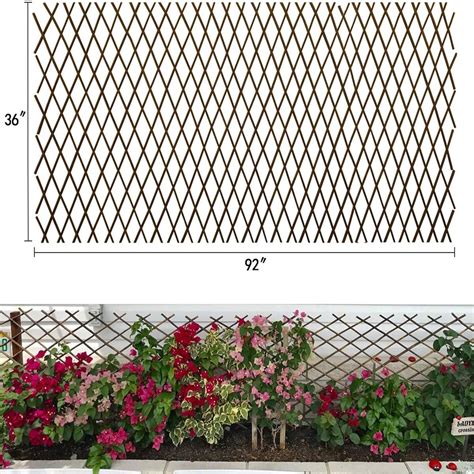 expandable lattice|expandable lattice fence free standing.